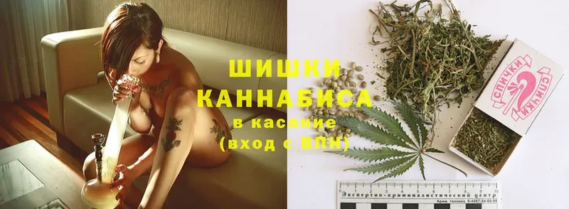 Канабис Bruce Banner  Белокуриха 